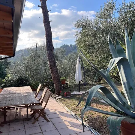 Il Podere Degli Ulivi Holiday home