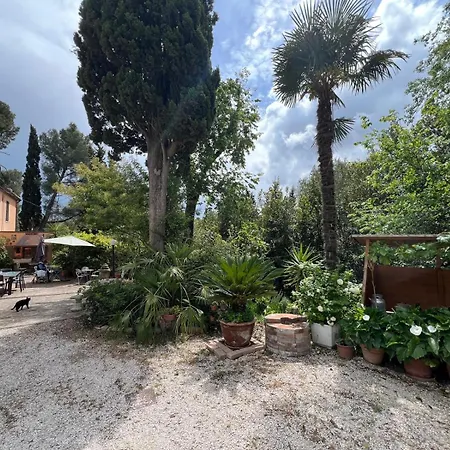 Il Podere Degli Ulivi 펜션 *