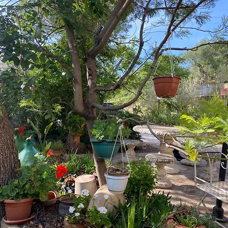 Il Podere Degli Ulivi *