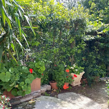 펜션 Il Podere Degli Ulivi 산타 베네란다