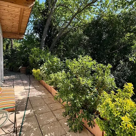 Il Podere Degli Ulivi Santa Veneranda