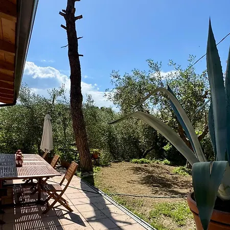 Il Podere Degli Ulivi 산타 베네란다