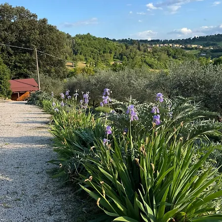 Il Podere Degli Ulivi Santa Veneranda